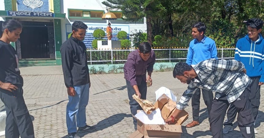 Students burnt the effigy of the Vice Chancellor