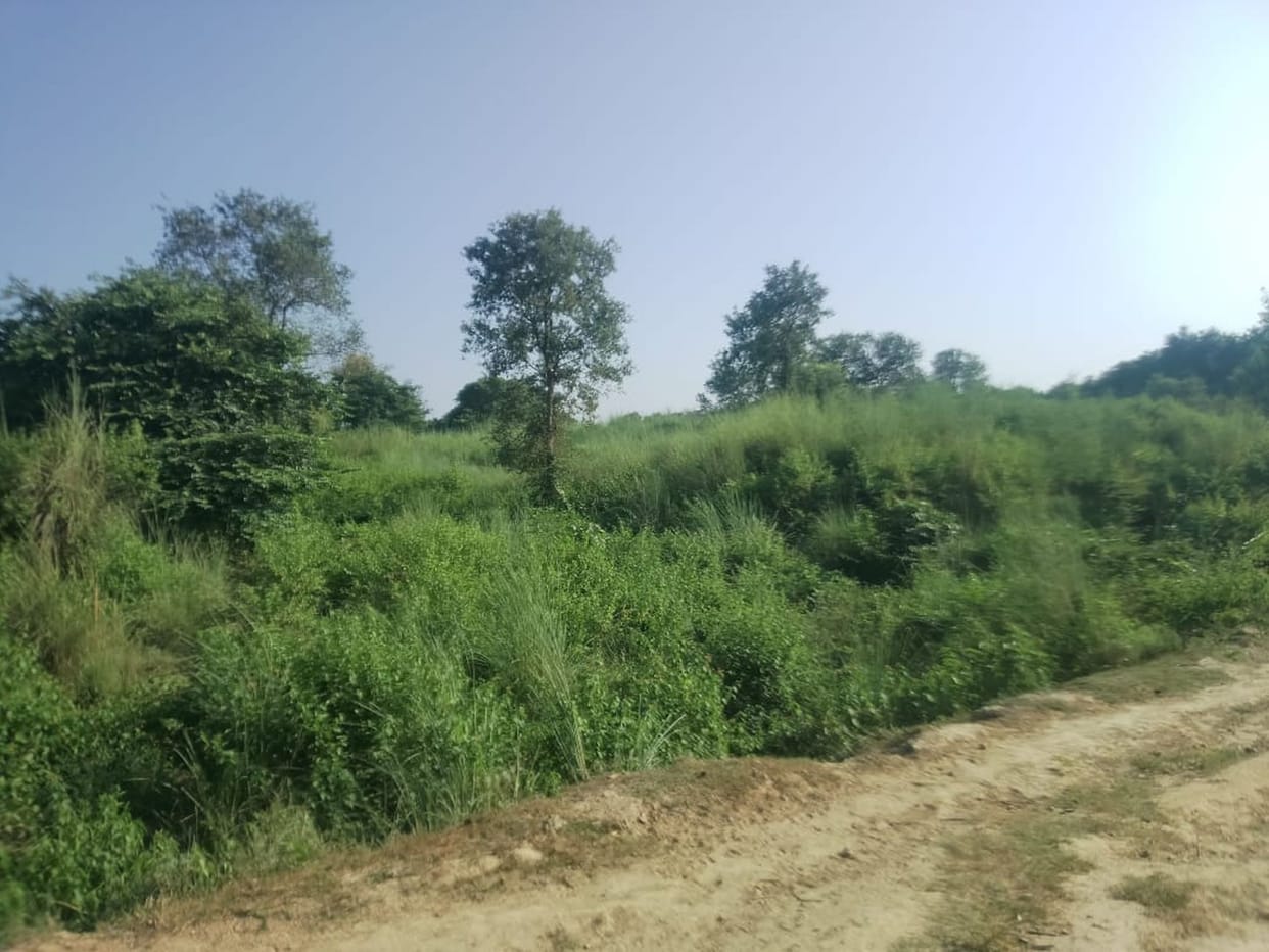 Electricity substation will be built in Pali of Bazarshukul