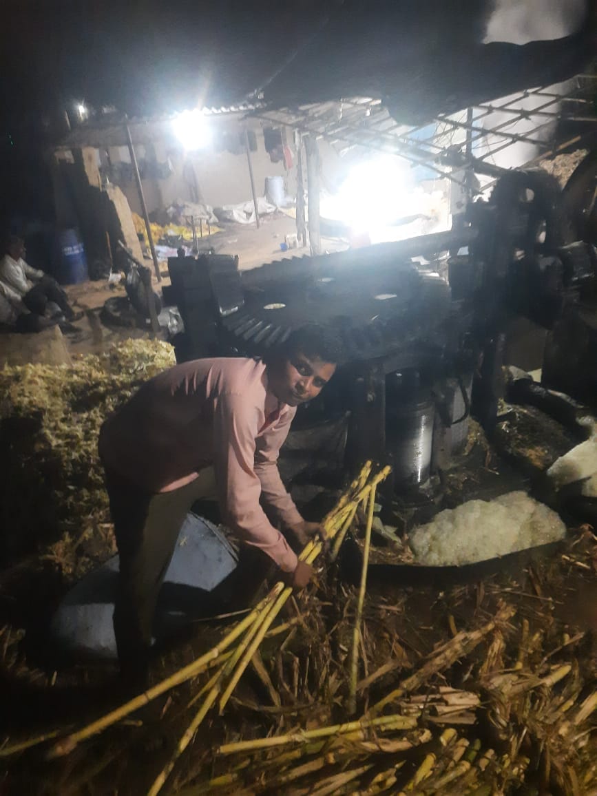 Organic jaggery will now be made on a modern crusher that has been closed for two years.