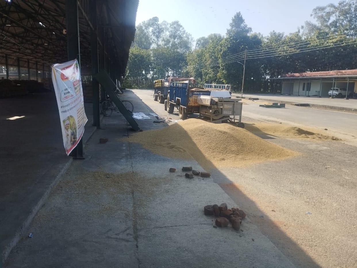 Rain slowed down the pace of paddy procurement, affected arrivals