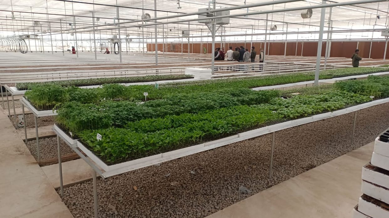 Tomatoes and cucumbers will be grown on vines in the semi-arid Indo-Israel Horticulture Center of Excellence