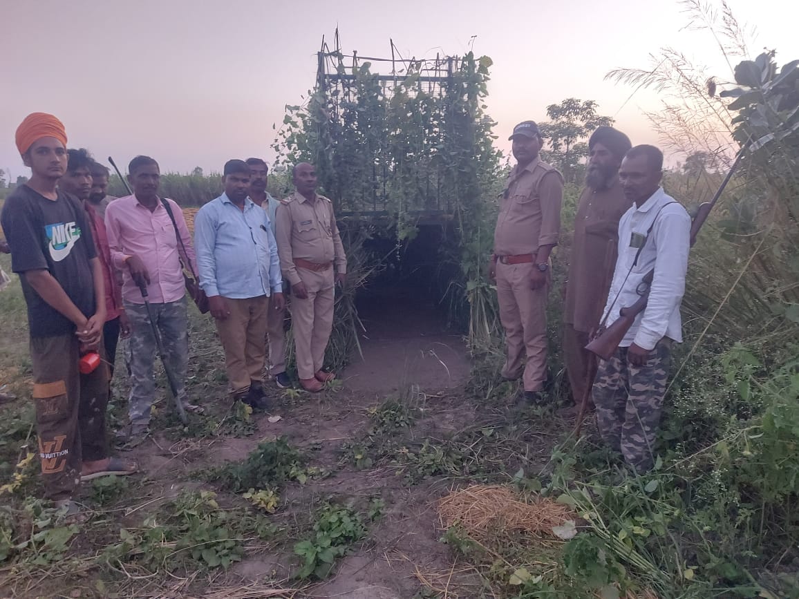 Four pairs of cameras installed to find the location of the tiger