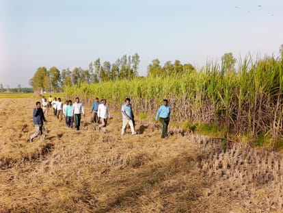 Now tiger seen in Raniganj, forest department could not catch it