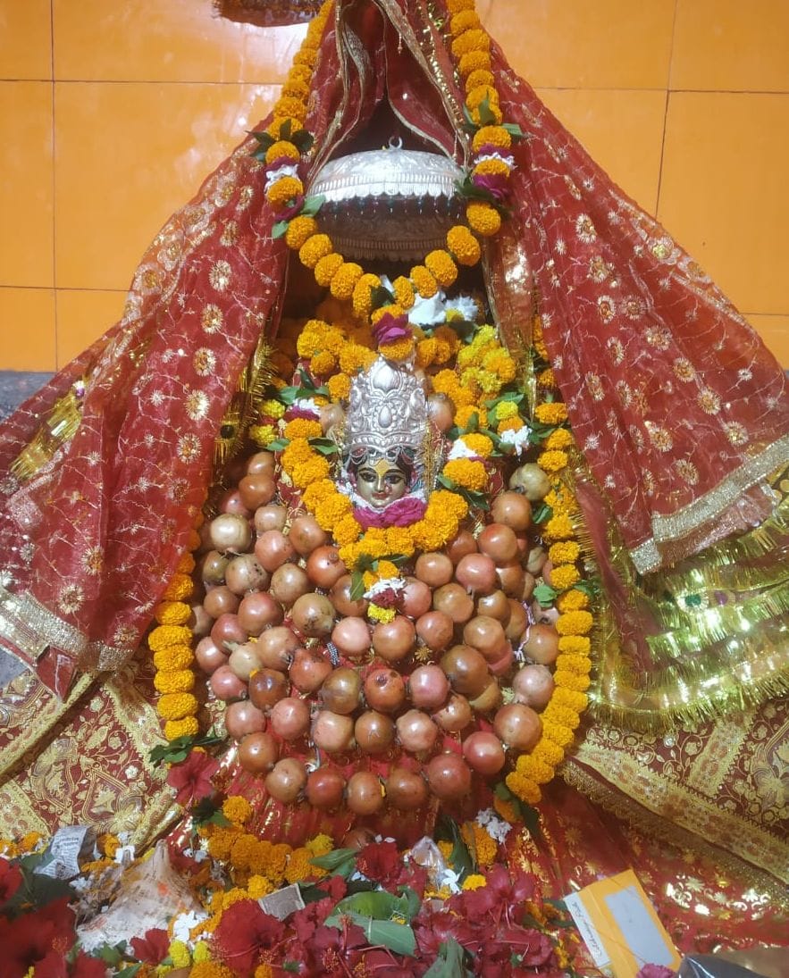 Worshiped Mother Kushmanda and sought blessings