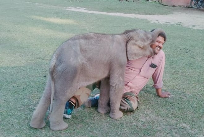 Gauri became the darling of mahouts in just eight days.