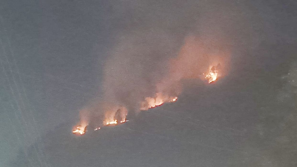 Forest wealth burnt due to forest fire near Chamunda temple