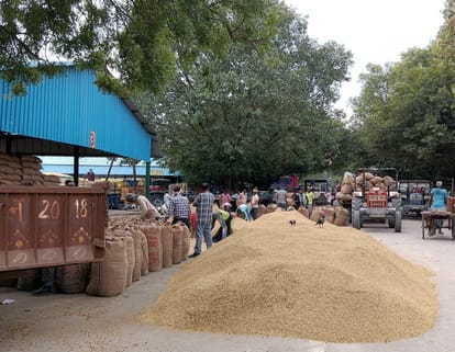 Four agencies zero in payment of paddy purchase