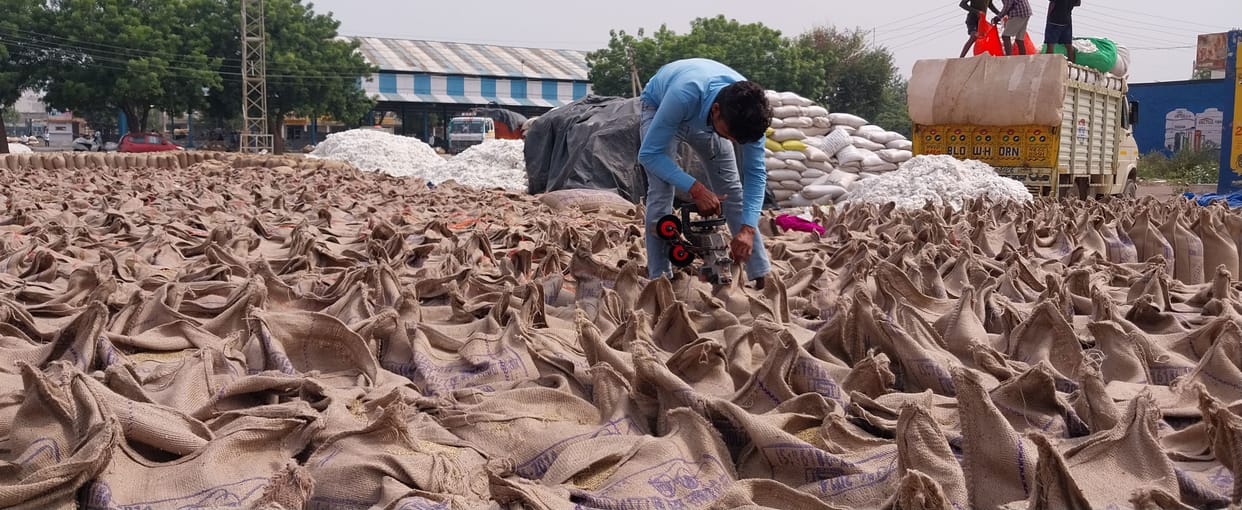 This year there was bumper purchase of millet