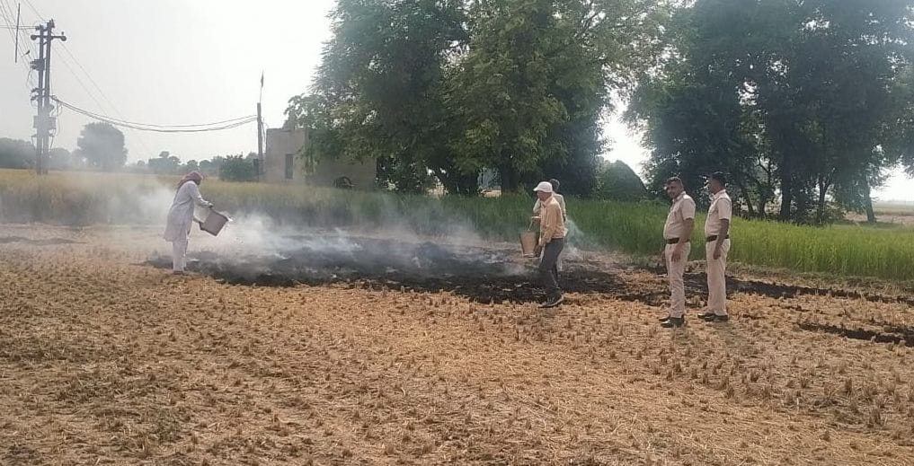 Stubble burning cases reach 125 in Fatehabad