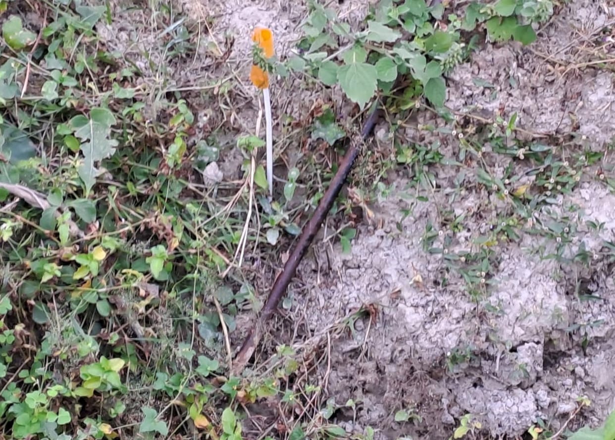 Family members found the rods used in the murder, questions raised on the role of police