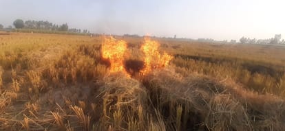 Farmer sets fire to stubble in Jehanabad