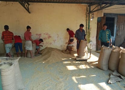 Procurement of paddy started gaining momentum at government centers