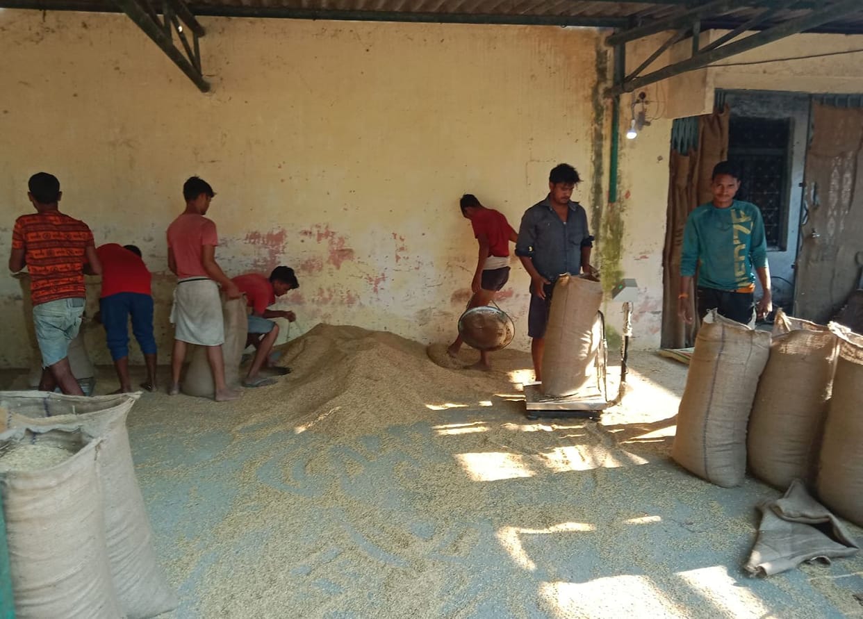 Procurement of paddy started gaining momentum at government centers