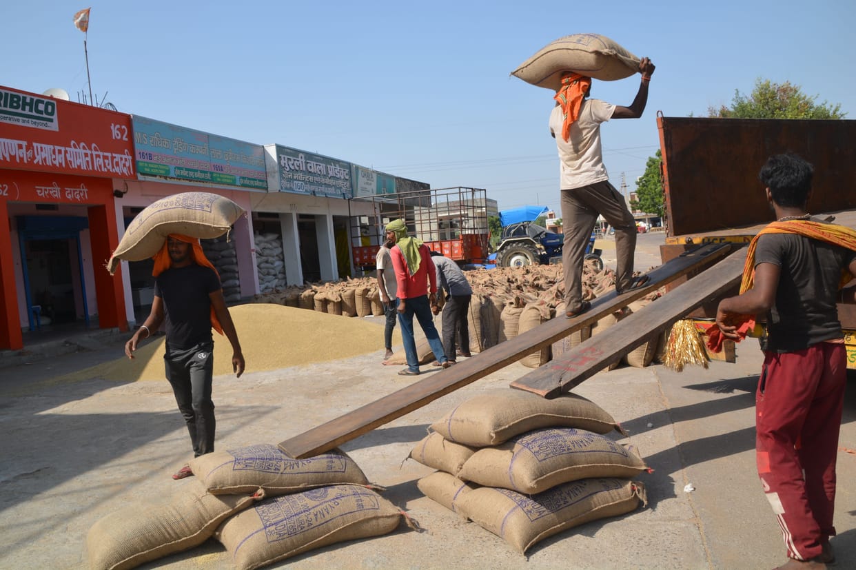 Bought millet worth Rs 85.19 crore from farmers, waiting for payment of Rs 24.24 crore