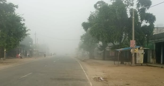 The effect of fog started with pink cold