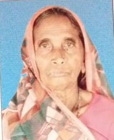 Old woman dies, two injured due to cow attack