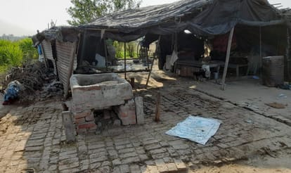 High tension line collapses, four pets die