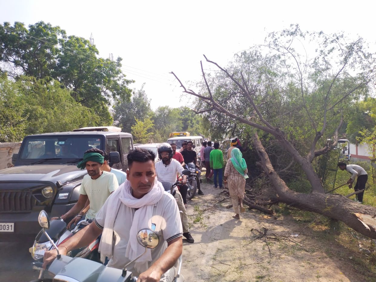 There was a long jam on the state highway due to trees falling on the road.