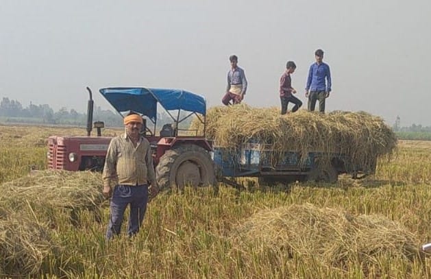 Stubble burning incidents curbed, district reaches fifth place