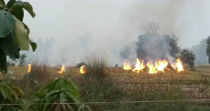Despite ban, farmers burnt stubble, fined Rs 20,000