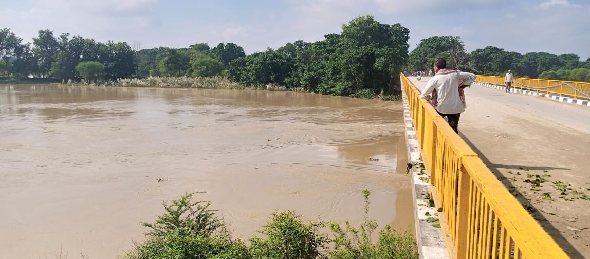 Ban on idol immersion from Pidra bridge