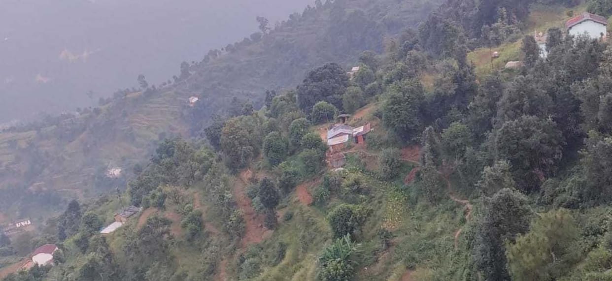 The road has been stalled for two years for a yes of jungle.