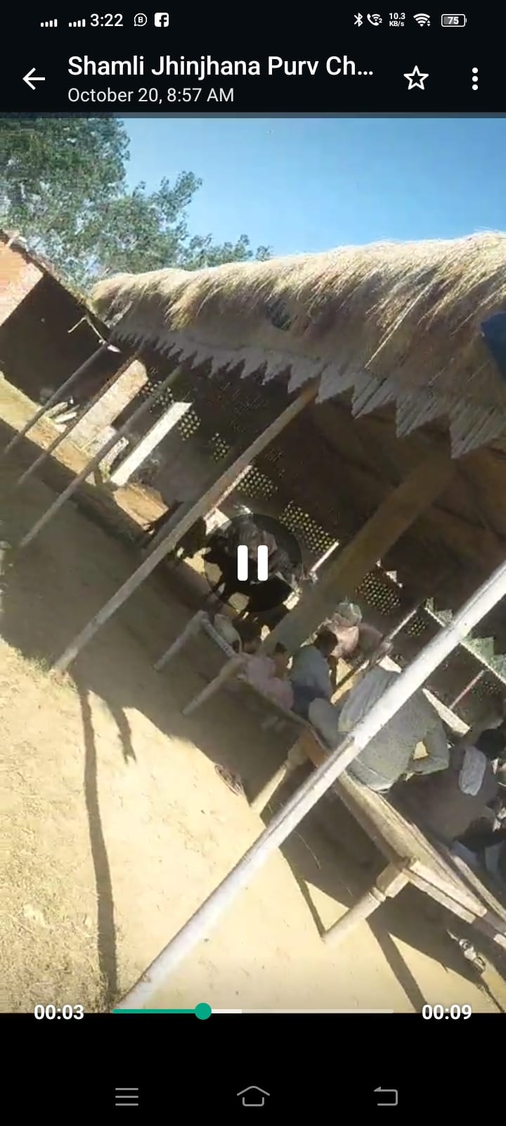 Illegal animal crossing is being carried out in Taprana with the connivance of officials.