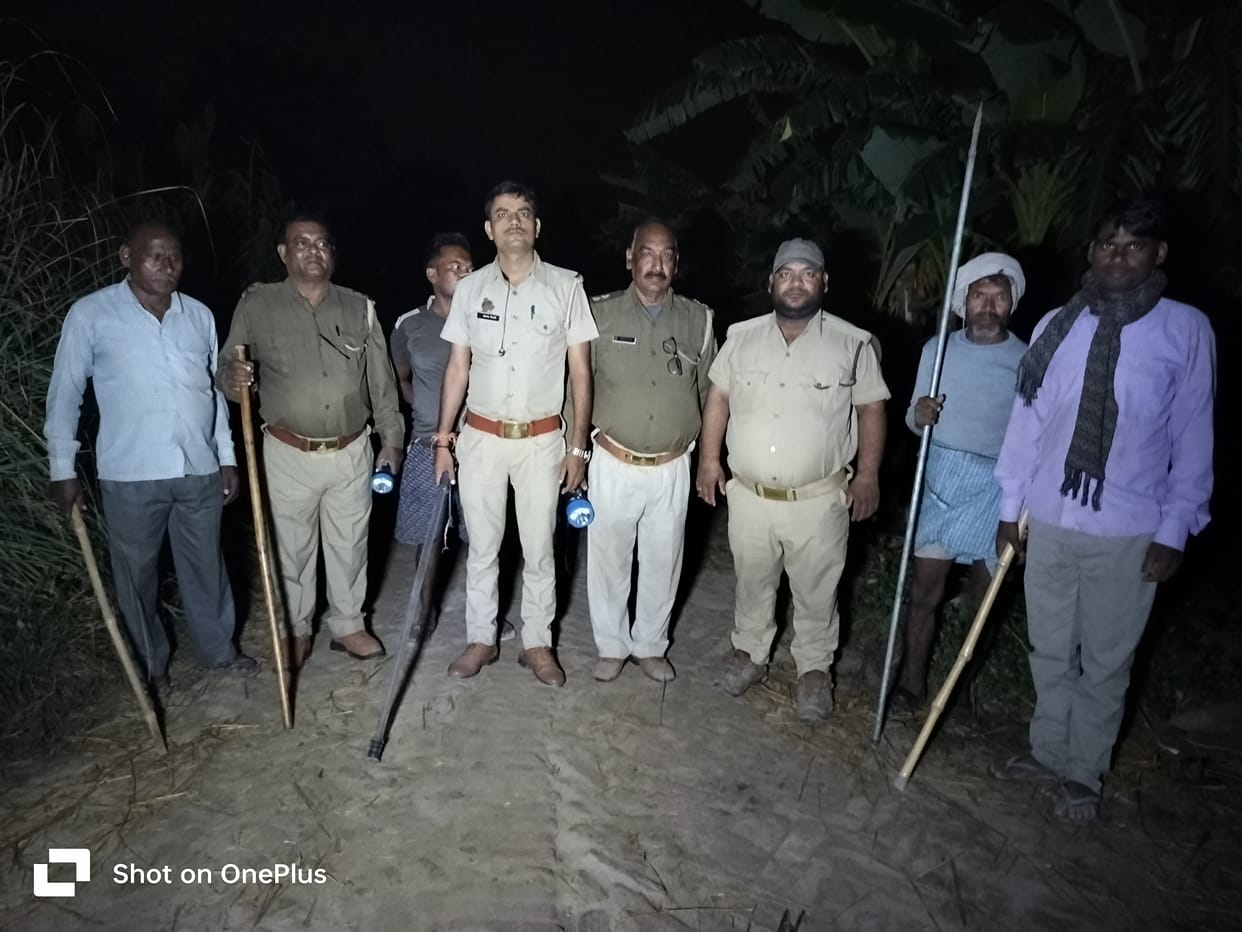 Leopard entered the village, villagers saved their lives by running away, injured the goat