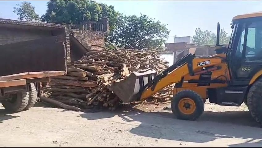 Forest workers recovered seven trolleys of wood