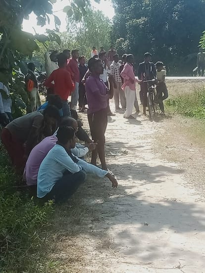 The tiger injured the watcher engaged in surveillance