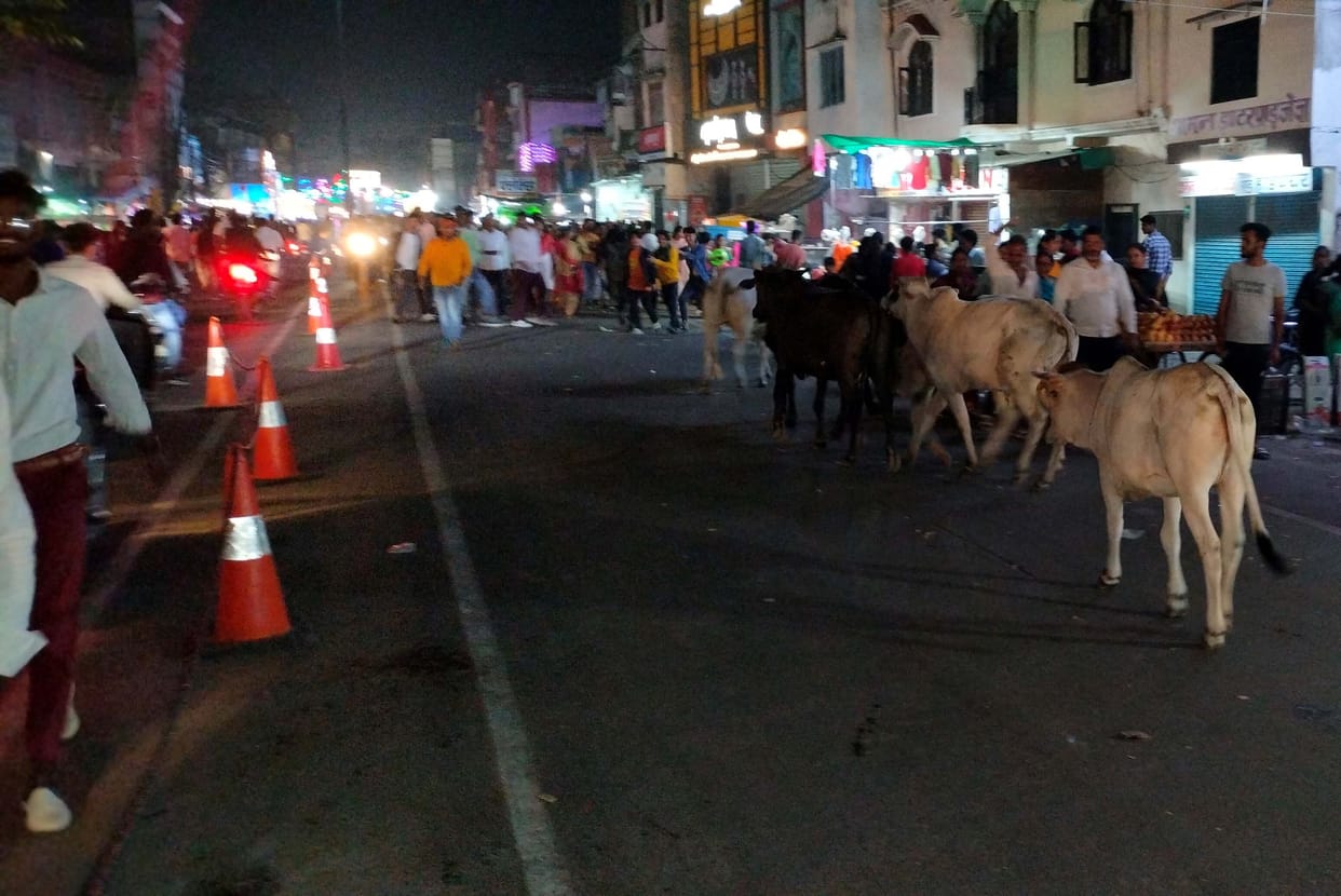 Cows are creating chaos in the crowd of faith... Stampede is taking place