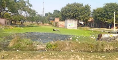 Fever took away the lives of 12 more people in 24 hours