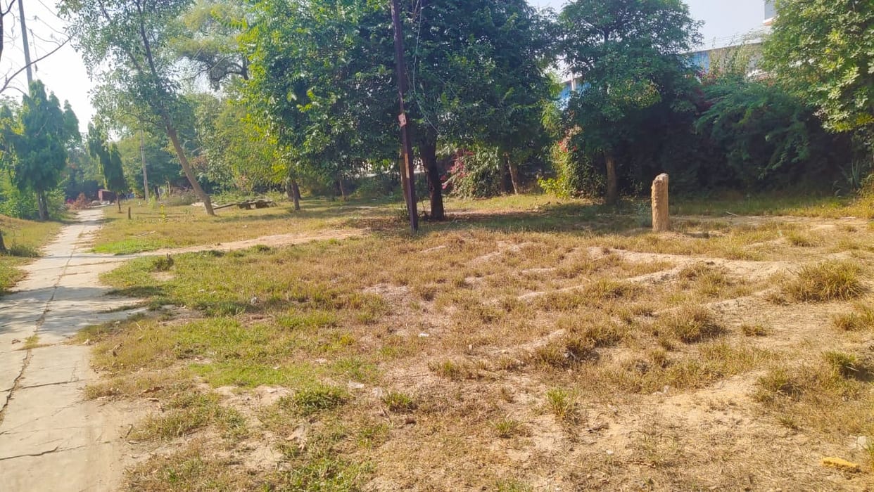 The face of HSVP nursery will change after years, tender prepared