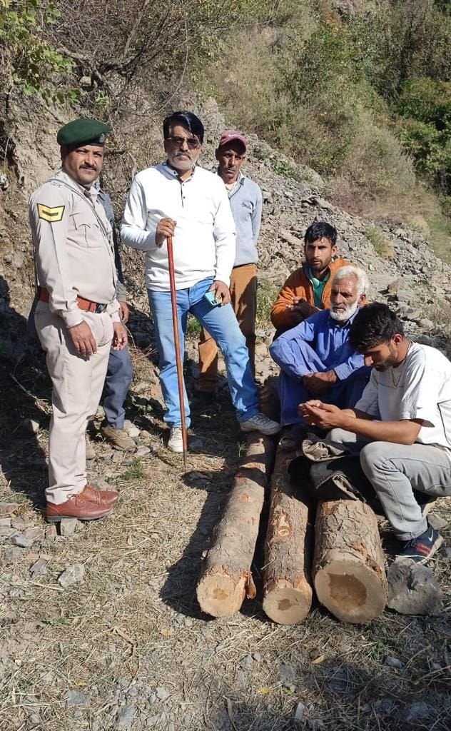 Seven Vankatu caught doing illegal felling in the dark of night, fined