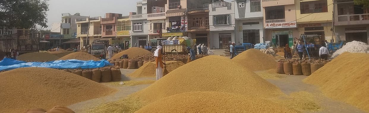 There is a rise in the price of paddy by Rs 1121, paddy is being sold from Rs 4 thousand to Rs 4705.