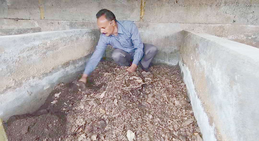 Earthworm fertilizer prepared in Chamba-Dalhousie is being sold at Rs 10 per kg.