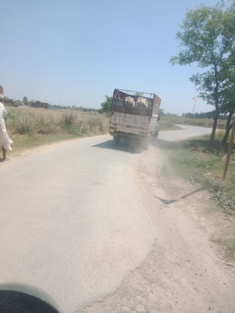 Carry drugs in goods vehicles, whether it is cattle or not, no one will ask.
