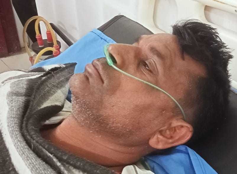 Bees sting worker, injured