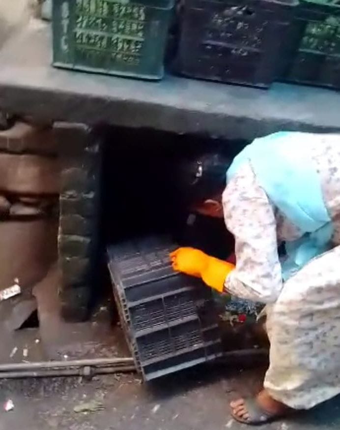 Municipal Corporation employees are disposing garbage in drains after door to door collection.