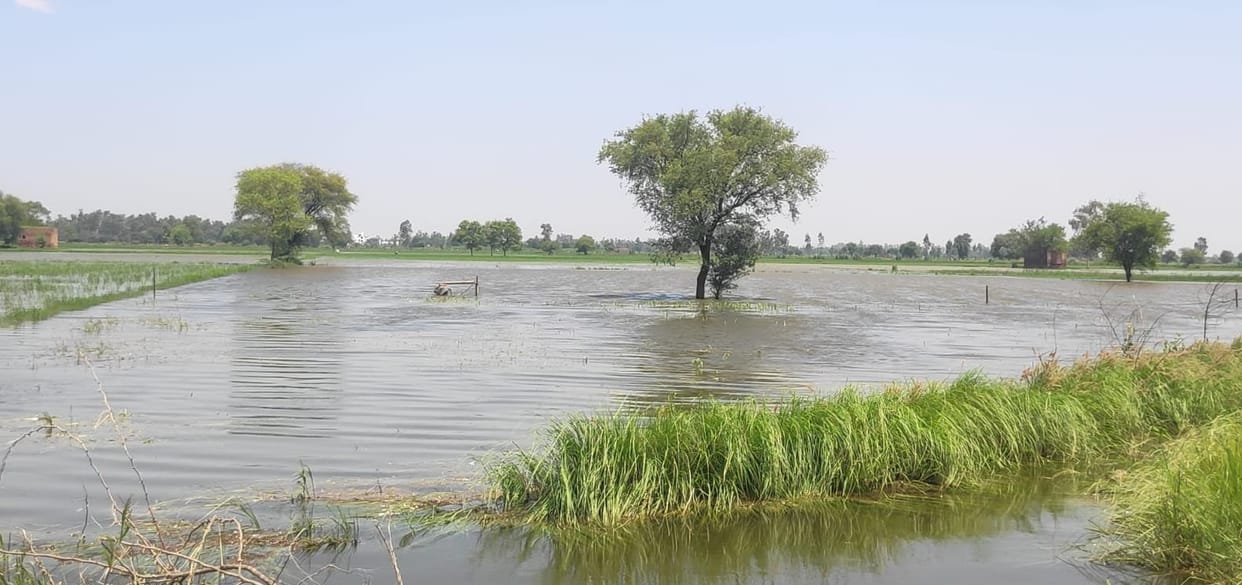 4835 acres of agricultural land of 25 villages of the district including the ancestral village of the Agriculture Minister will be waterlogging free.