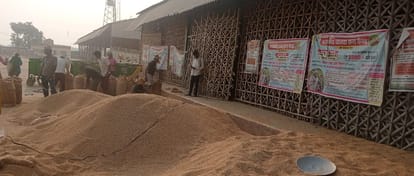 Purchase of 13.150 tons of millet from four farmers at two purchasing centers