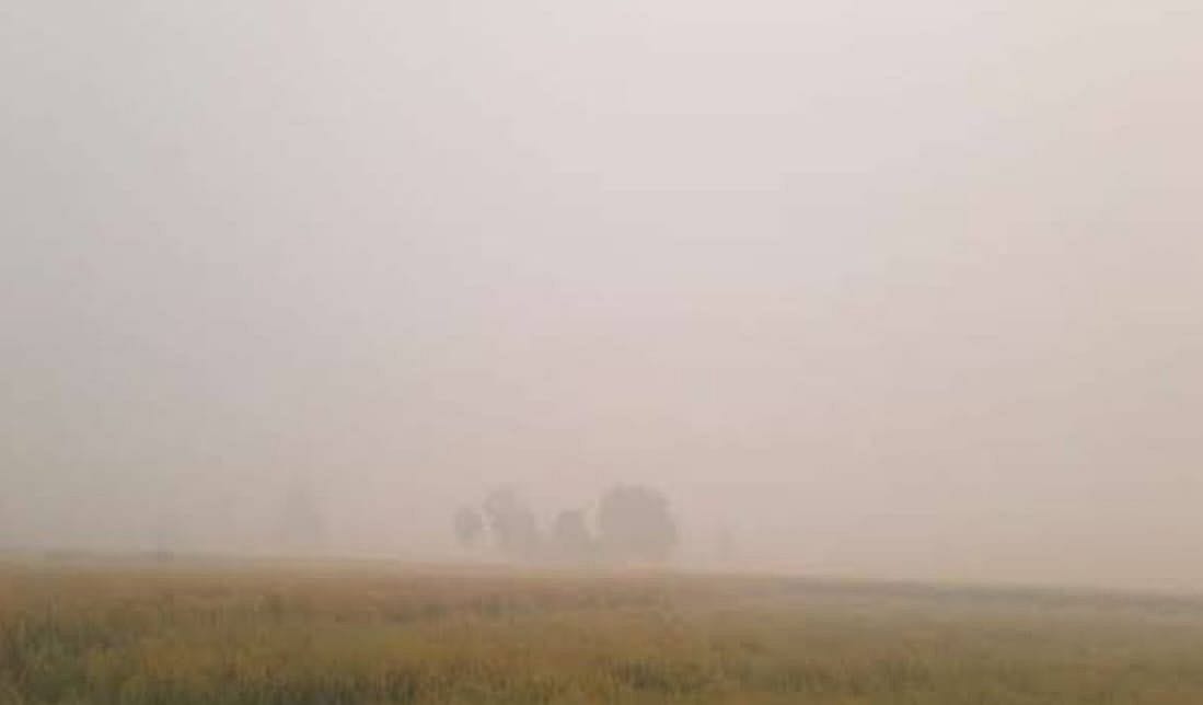 Respiratory crisis, Jind covered with pollution; Number of Civil Hospital OPD increased, AQI crossed 456