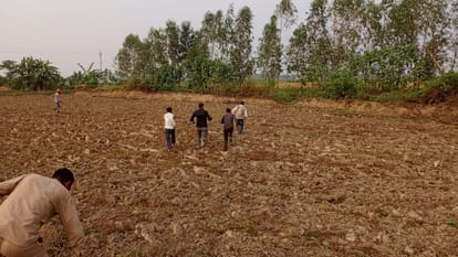 Seeing the tiger in the field, the villagers lost their senses, started running
