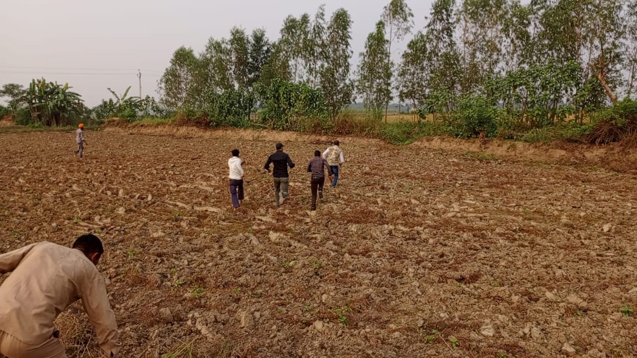 Seeing the tiger in the field, the villagers lost their senses, started running