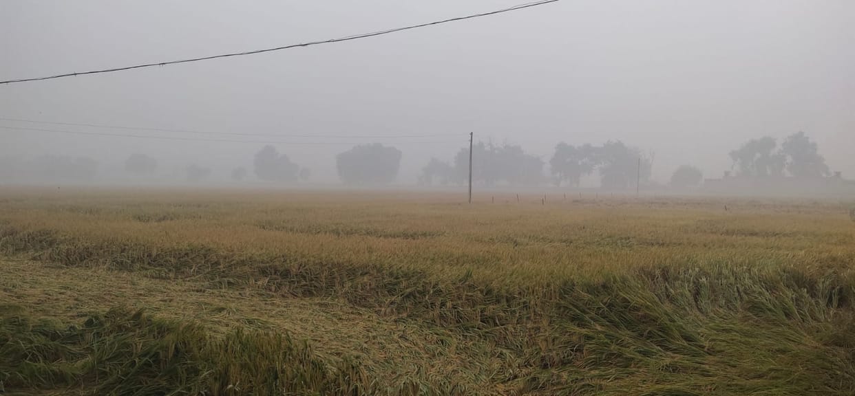 Attention Stifling wind is blowing, 372 AQI pollution level
