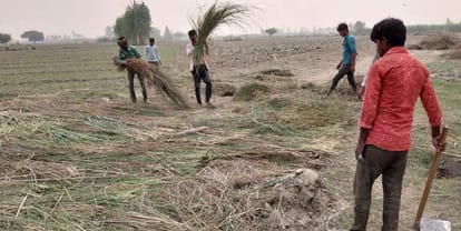 Beedas and Patel started being spread on the road in Mela Kakoda