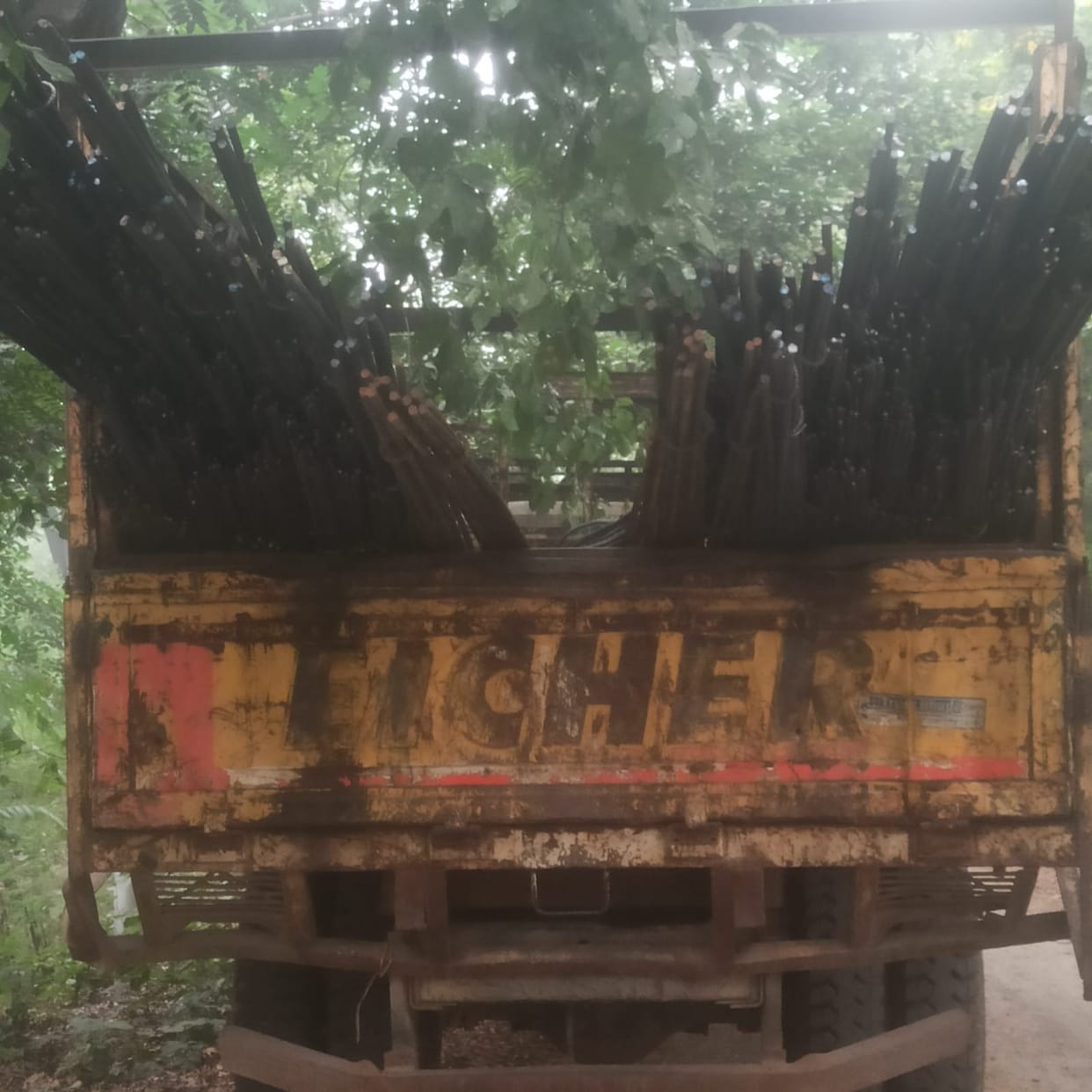 12 tonnes of Sariya Lady Cantor recovered, three thieves caught