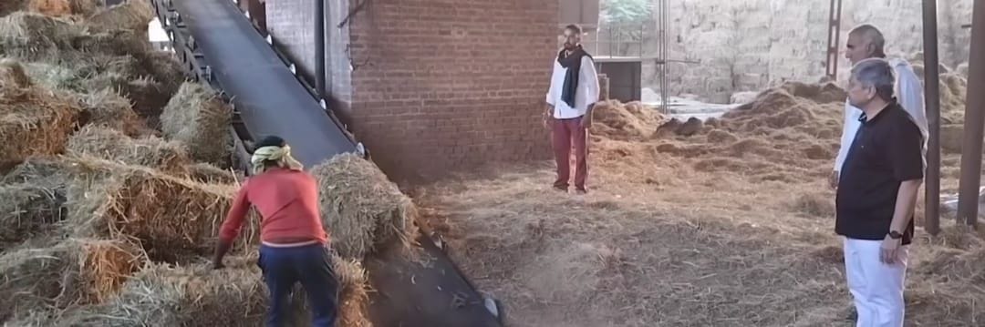 Rice is being extracted from paddy fields by using stubble as boiler fuel.