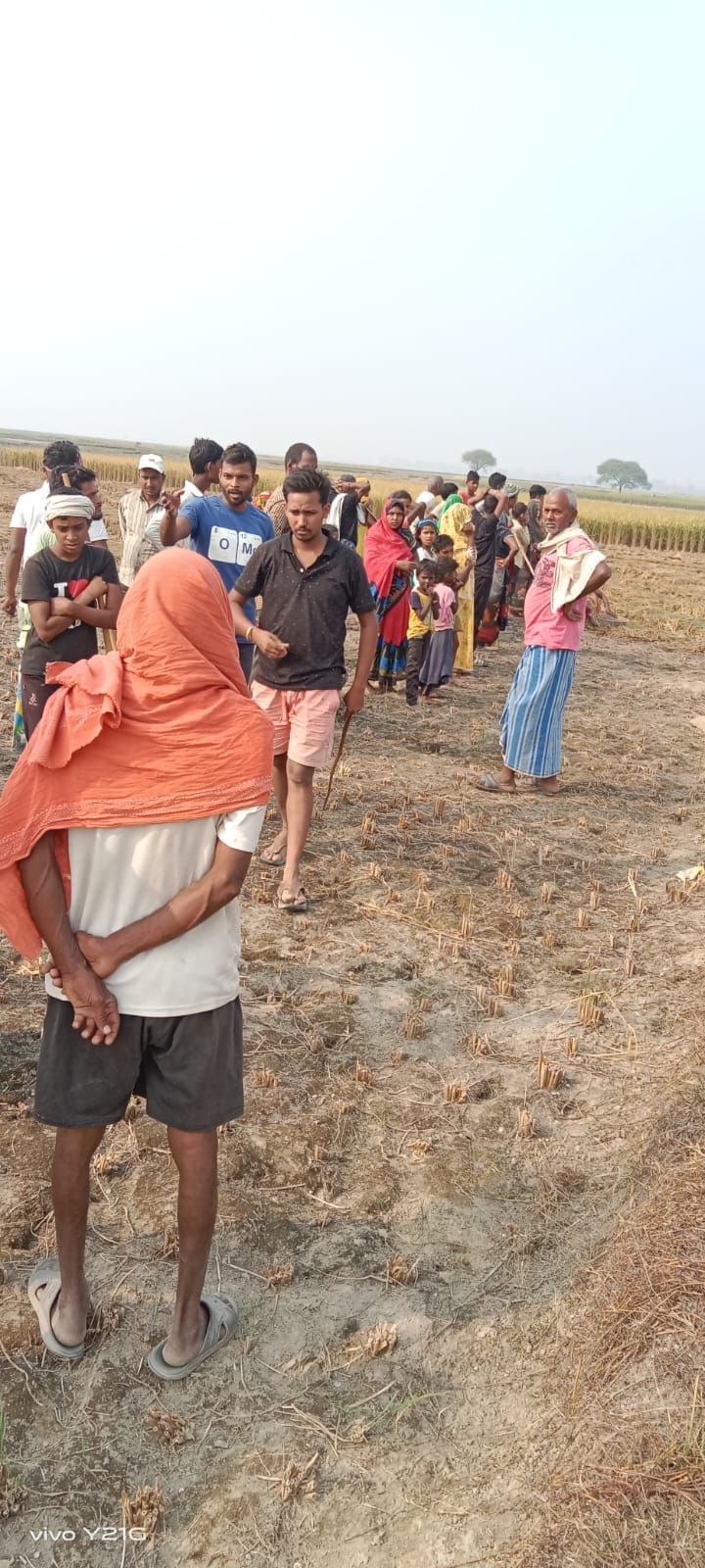 Cattle dies due to electric shock