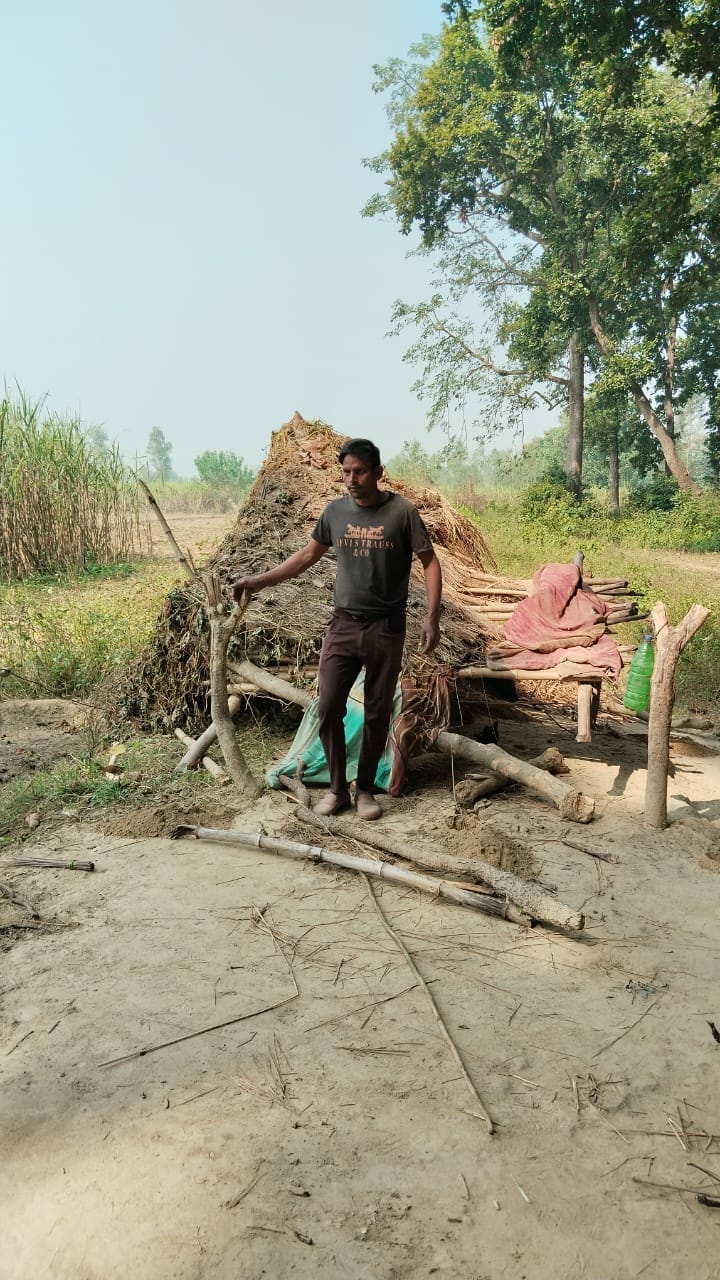 Nepalese elephants destroyed Madaiya and trampled sugarcane crop.